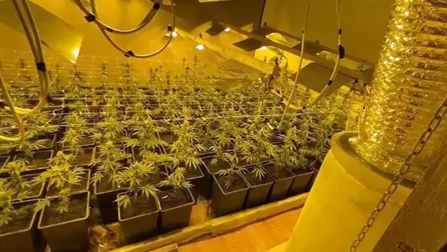 Akıllara durgunluk veren olay! Böbreğini satıp villada uyuşturucu imalathanesi kurmuş Akıllara durgunluk veren olay! Böbreğini satıp villada uyuşturucu imalathanesi kurmuş