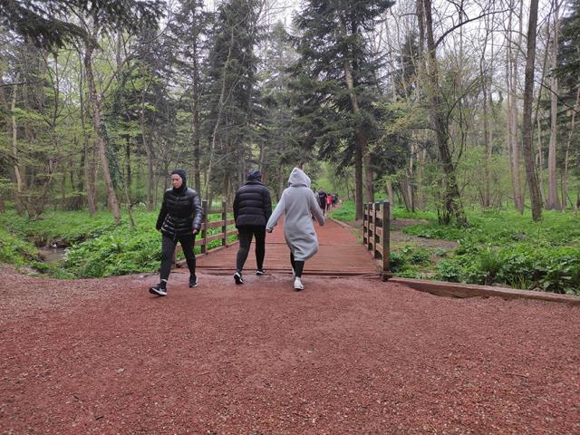 Belgrad Ormanı Giriş Ücreti 2022: Belgrad Ormanı giriş ücreti ne kadar? Belgrad Ormanı araç giriş ücreti!