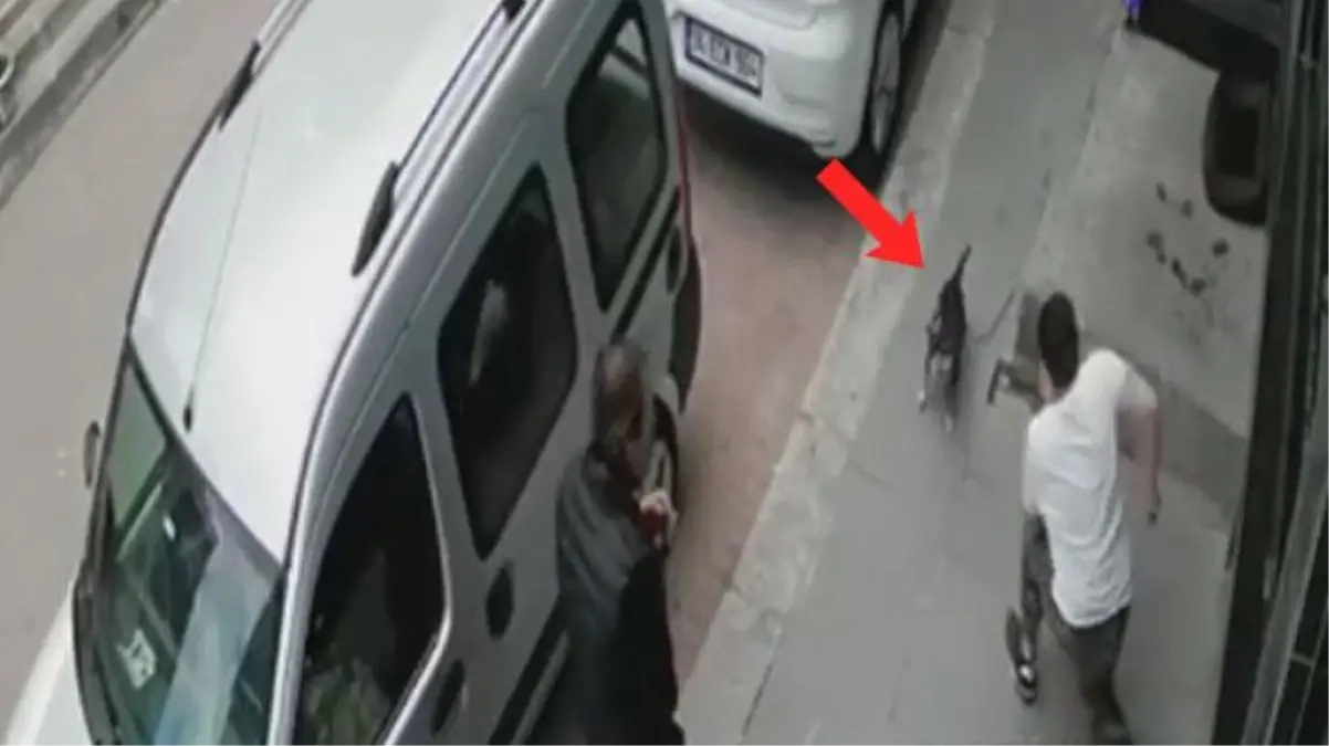 Havlayan köpeğe bıçakla saldırdı, gerçek ortaya çıkınca kimse şikayetçi olmadı