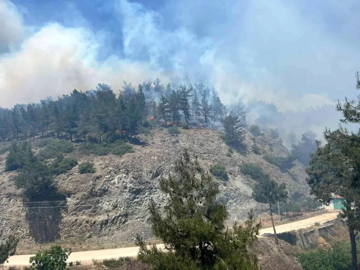 Hatay'da orman yangınına karadan ve havadan müdahale