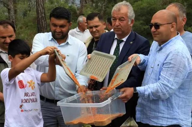 Milyonlarca arının gram gram topladığı polende ilk hasat gerçekleştirildi! Kilosu 400 TL'den satılıyor