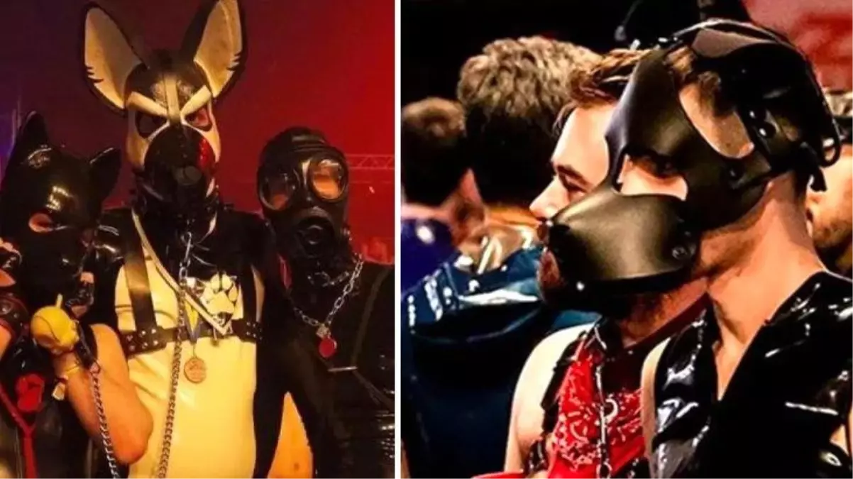 Tüm dünya diken üstünde! Büyük panik yaratan maymun çiçeği Belçika'daki 'fetiş' festivalinden yayılmış