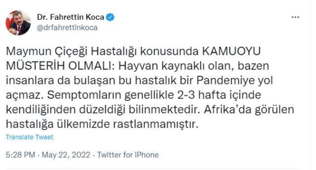 Bir pandemi daha mı geliyor? Bakan Koca, maymun çiçeği virüsü hakkında net konuştu: Yayılmaz olmaz, ülkemizde görülmedi