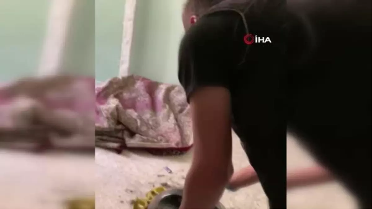 Ceyhan'da uyuşturucu operasyonunda 8 gözaltı: Elektrikli süpürgenin içinden uyuşturucu çıktı