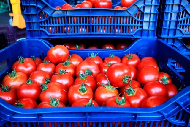 Pazarcılar tarih verdi: Meyve ve sebze fiyatları 2 hafta içerisinde yarı yarıya düşecek Pazarcılar tarih verdi: Meyve ve sebze fiyatları 2 hafta içerisinde yarı yarıya düşecek