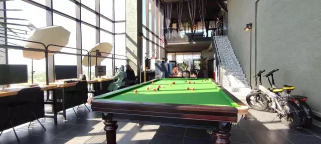 Yırtıcı kuş gazeteye yuva yaptı, ofise her gün yılan ve fare taşıyor! Haberciler diken üstünde