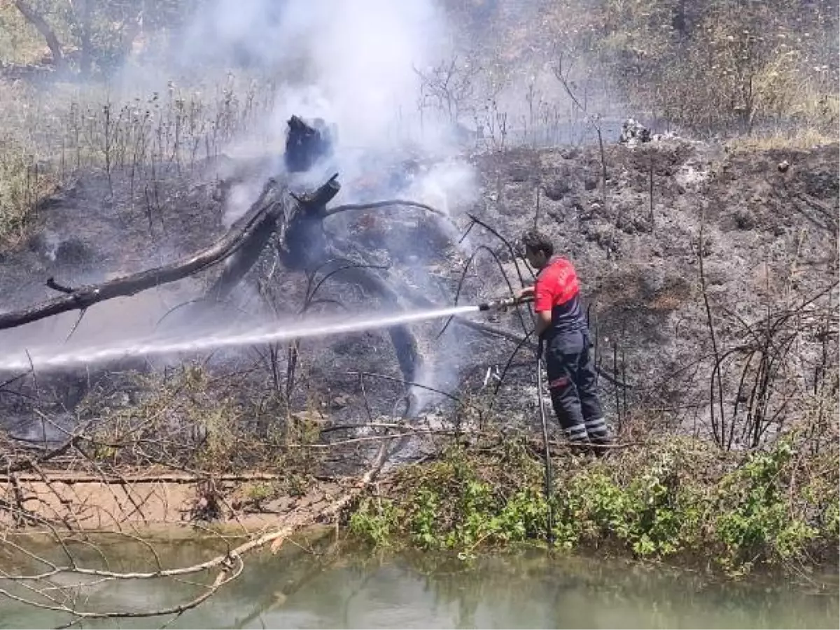Nusaybin'de ağaçlık alanda çıkan yangın büyümeden söndürüldü