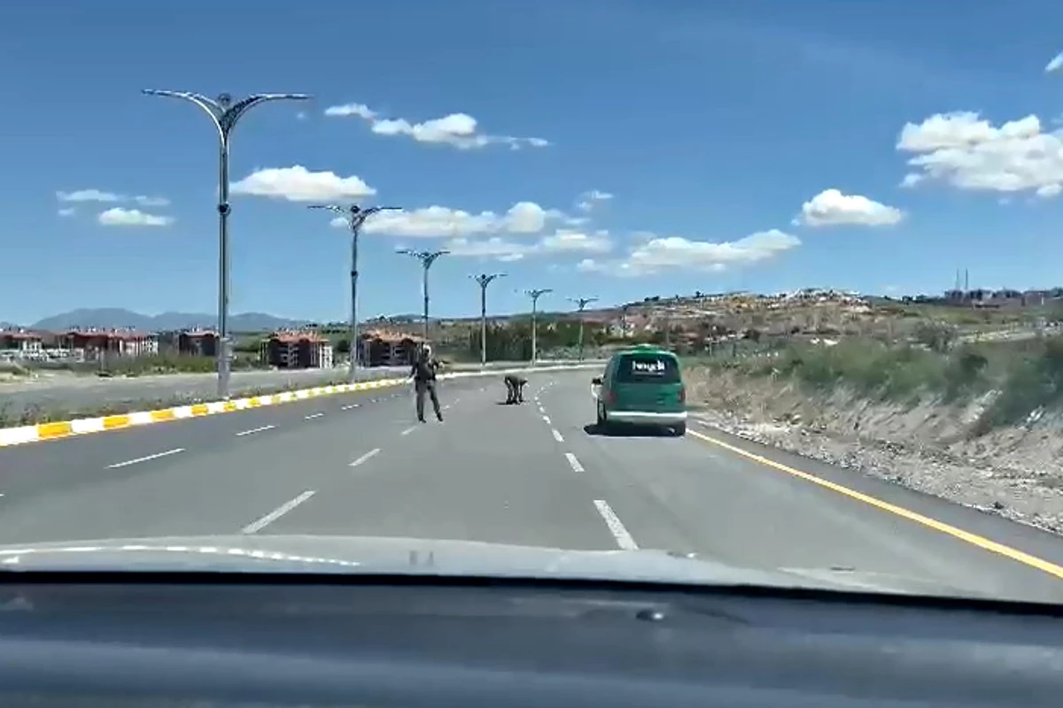 Elazığ'da polisin bir kaplumbağanın yolun karşısına geçmesine yardım etmesi kameraya yansıdı