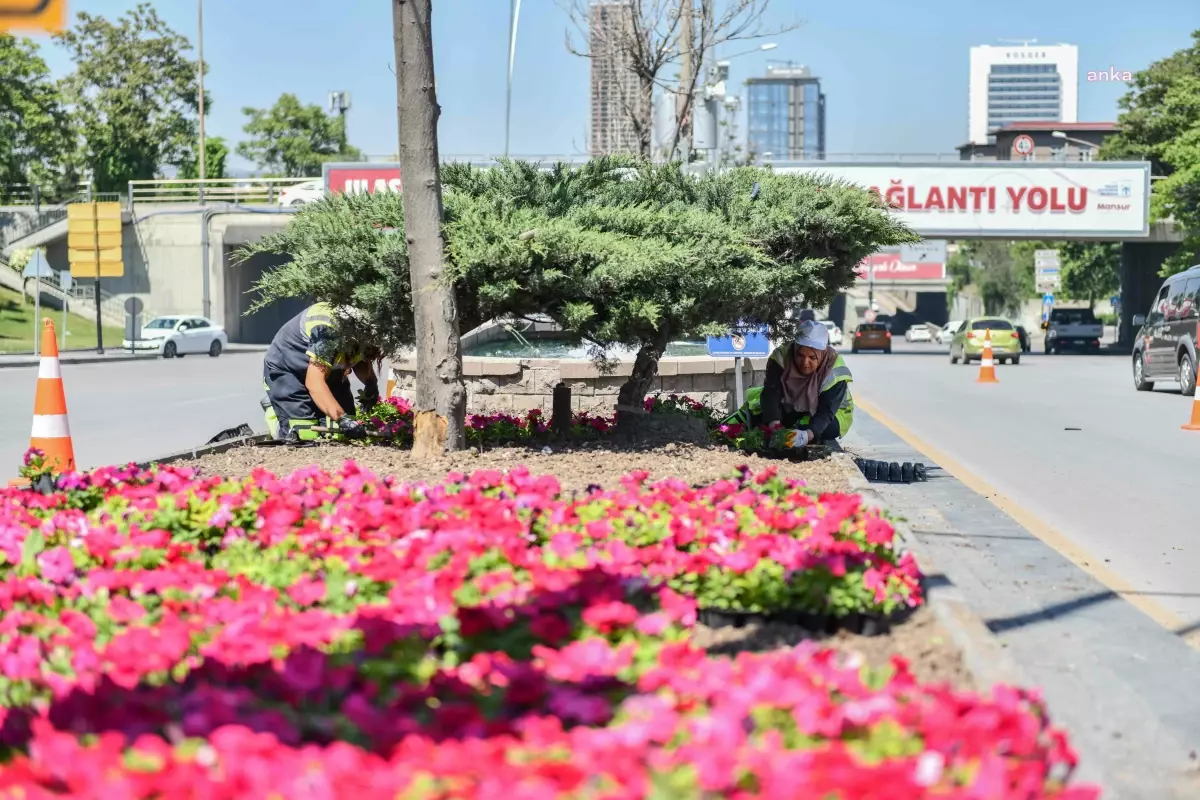 Ankara Büyükşehir, Başkent'i Çiçeklerle Donatıyor
