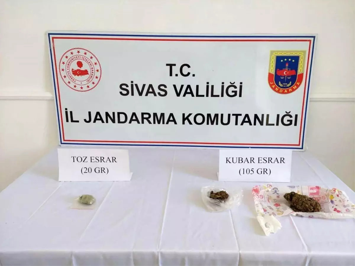 Sivas'ta narkotik köpekli şafak operasyonu