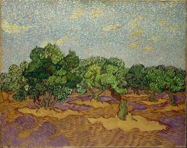 Van Gogh'un Zeytin Ağaçları yapıtı yeniden yorumlandı Van Gogh'un Zeytin Ağaçları yapıtı yeniden yorumlandı