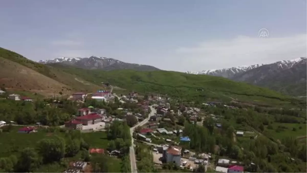 Yedisu'da ilkbahar güzelliği yaşanıyor
