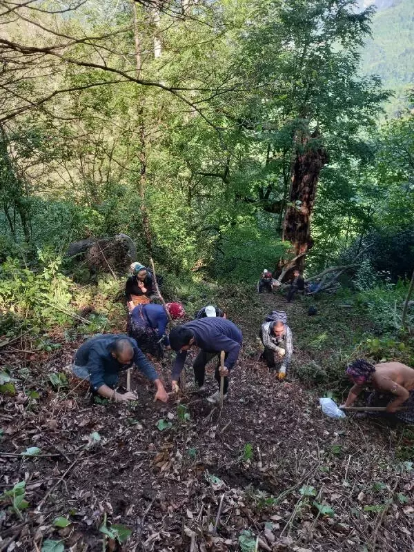 İnekleri için ot toplayan köylülerin tırmığına insan kafatası takıldı: Ona bakamıyoruz, hemen jandarmayı arayın