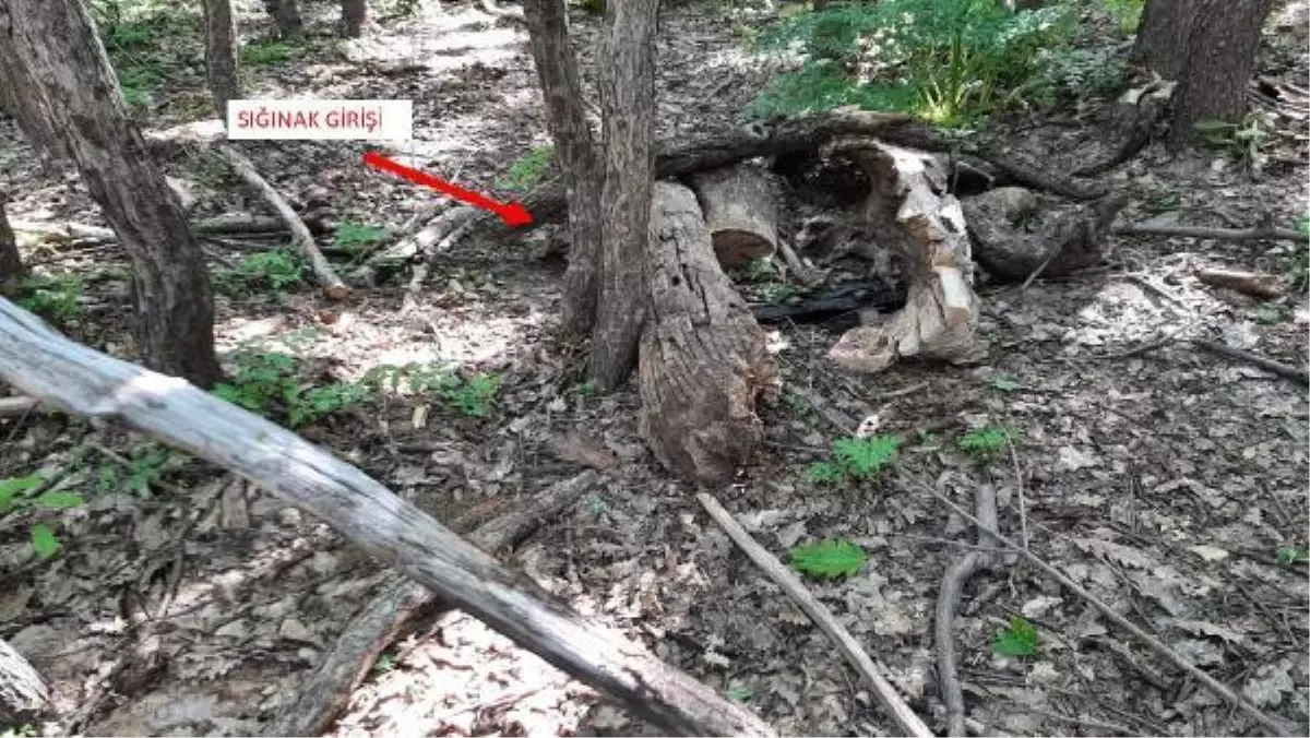 Operasyondaki Mehmetçikler, odun parçasını kaldırınca teröristlerin sığınağı ile burun buruna geldi