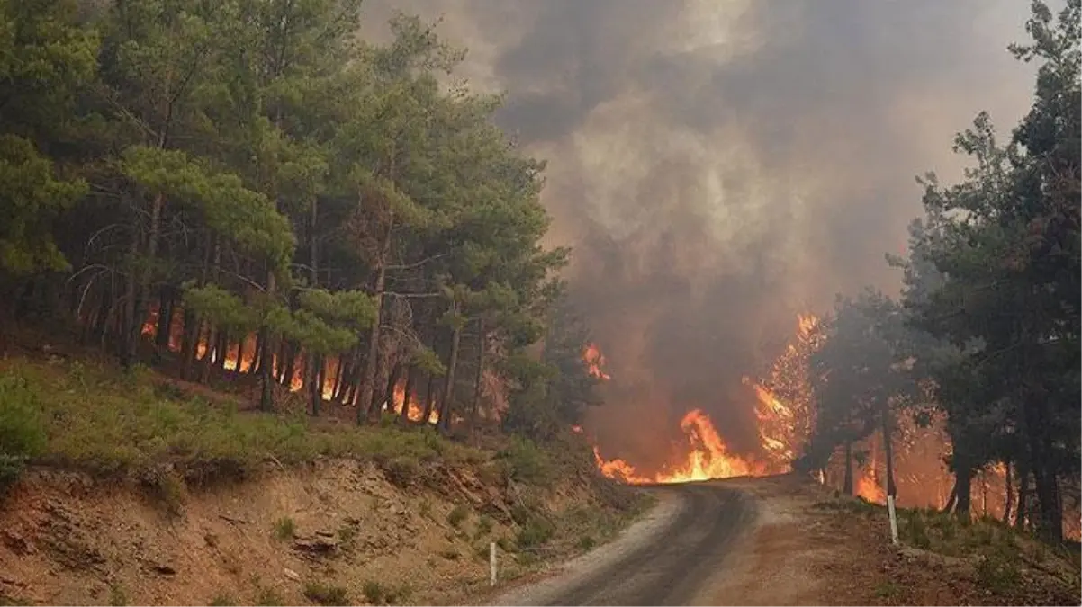 Orman yangınlarında hava gücü 2 kat arttı! Geçen sene 3 olan uçak sayısı 20'ye çıkarıldı