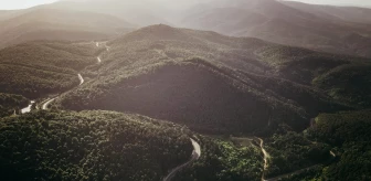 Domaniç Dağları'nın baharla yeşeren ormanları dronla görüntülendi