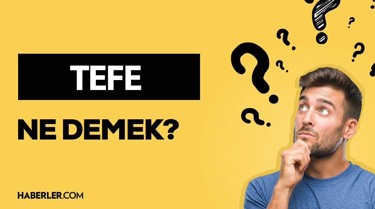 TEFE ne demek? TEFE anlamı ne?