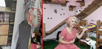 'Atlara eziyet yapılıyor' diye paylaşım yapan Mardinli Marilyn Monroe'ya tokat attılar