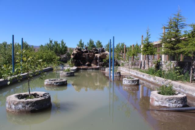 Çocukluk hayali olan ormanı oluşturmak için 5 milyon TL harcadı Çocukluk hayali olan ormanı oluşturmak için 5 milyon TL harcadı