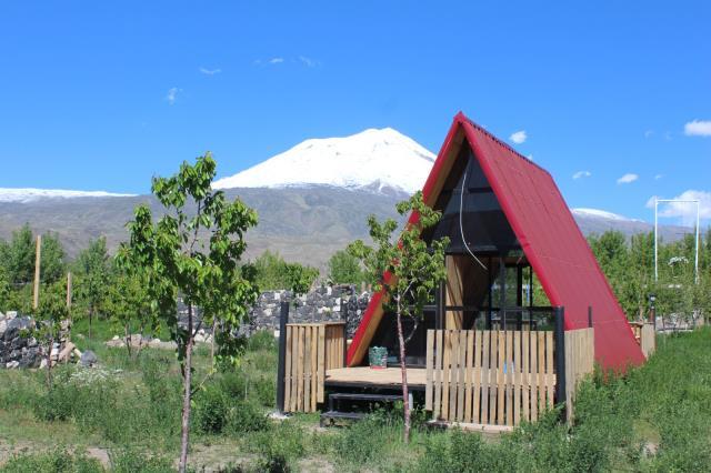 Çocukluk hayali olan ormanı oluşturmak için 5 milyon TL harcadı Çocukluk hayali olan ormanı oluşturmak için 5 milyon TL harcadı