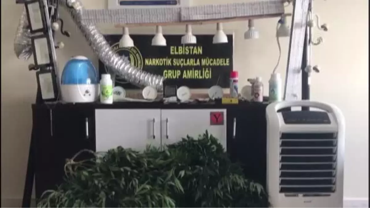 KAHRAMANMARAŞ - Banyoda Hint keneviri yetiştiren zanlı yakalandı