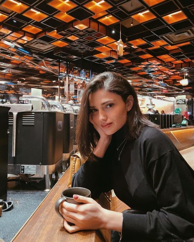 ABD'de milyon dolarlık vurgun yapan çete çökertildi! Türk vatandaşı Akasya Yaşaroğlu da sorguya alındı