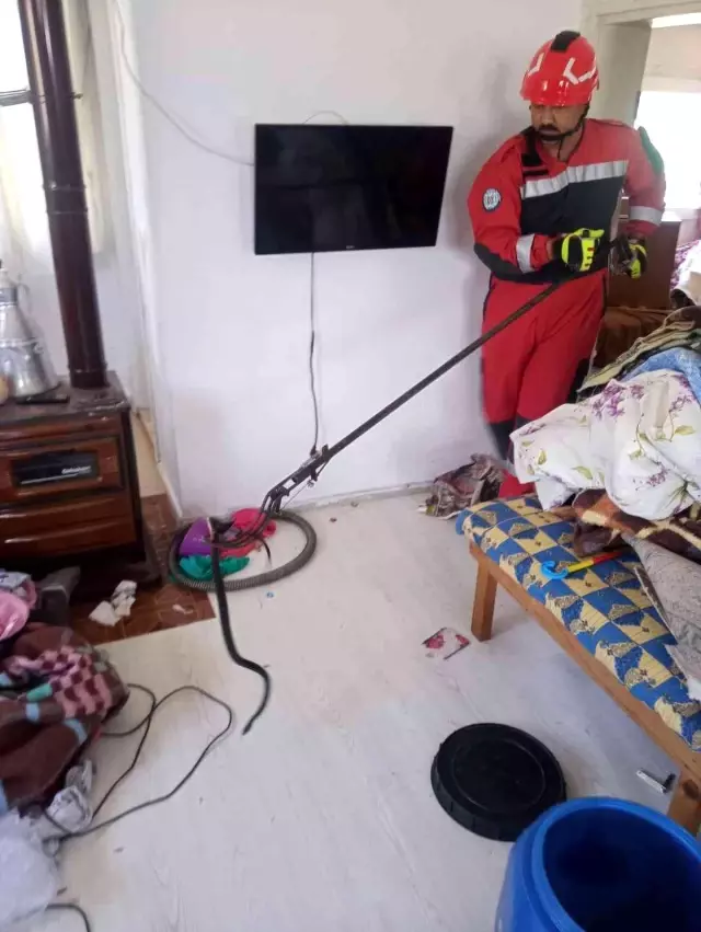 Tam yatmaya hazırlanırken karyolanın altından zıplayan dev yılan nedeniyle şoka girdi