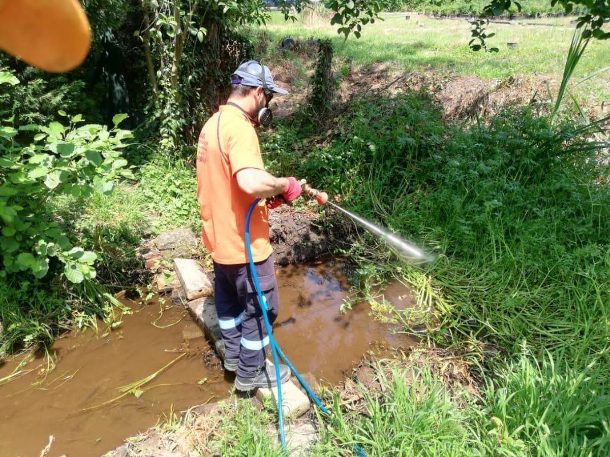 Sapanca'da, İlaçlama Çalışmaları Hızlandı