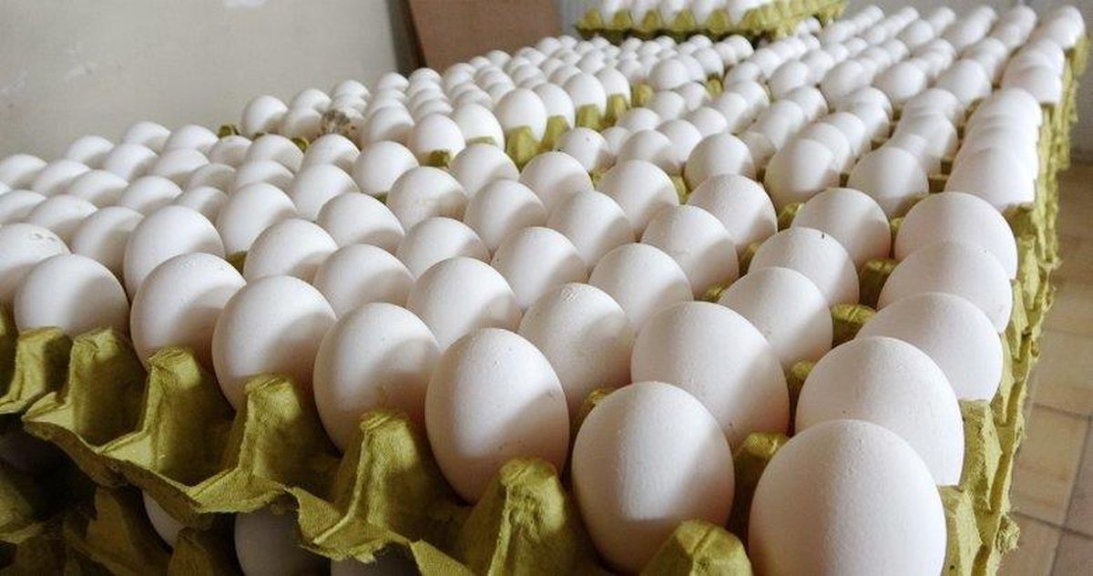 Son Dakika! Rekabet Kurumu, yumurta sektörüne yönelik 2 ayrı soruşturma başlattı