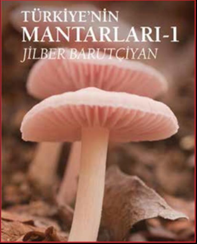 Kuşadası sokak festivali için geri sayım başladı