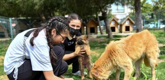 Liseli gençler, hayvan bakımevini ziyaret etti