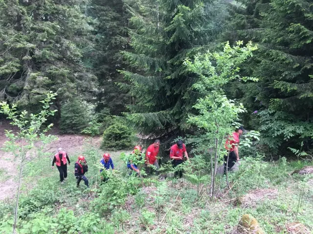 Fotoğraf çektirirken dereye düşen turist kayboldu