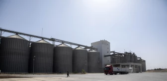 IKBY 'gıda güvenliğindeki kriz' nedeniyle çiftçilerin elindeki buğdayın tamamını satın alacak
