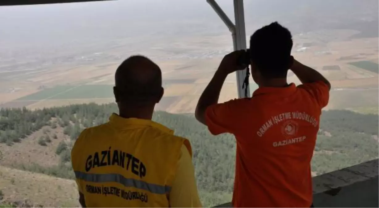 Ormanlar, 1150 rakımlı kulede 'ateş savaşçıları' tarafından 24 saat gözetleniyor