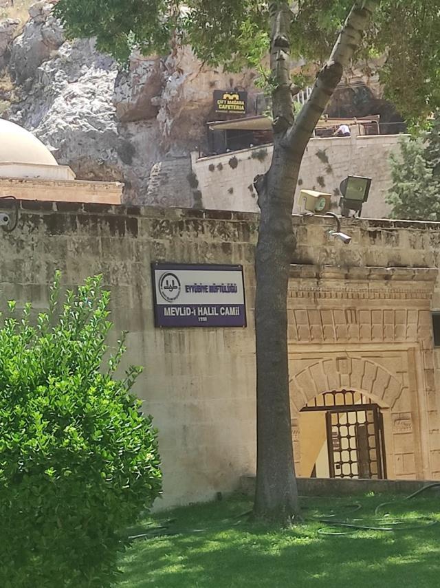 Şanlıurfa'da güvercinlerin hiçbiri Yeşil Kubbe üzerine konmuyor! Nedeni ise duyanların gözünü yaşartıyor