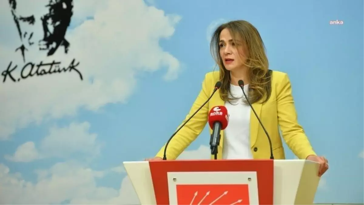 Gamze Akkuş İlgezdi: Müzik Yasağını Kalıcı Hale Getirdiler, Niyetleri Pandemiyle Mücadele Değil Yaşam Tarzına Müdahaledir