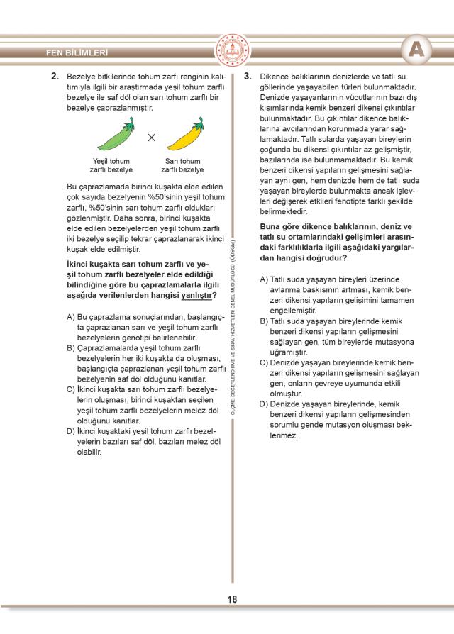 LGS Cevap Anahtarı 2022: A, B, C ve D kitapçığı LGS soru ve cevapları! LGS kitapçığı soru ve cevap anahtarı! LGS kitapçığı!