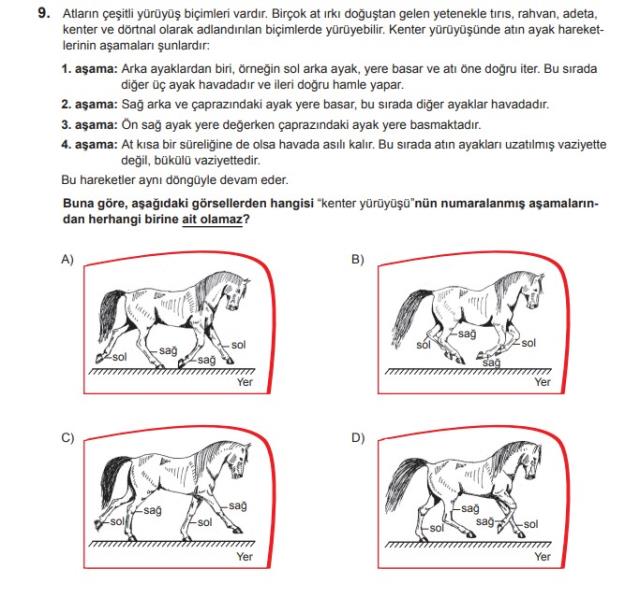 LGS'deki at sorusunun cevabı nedir?