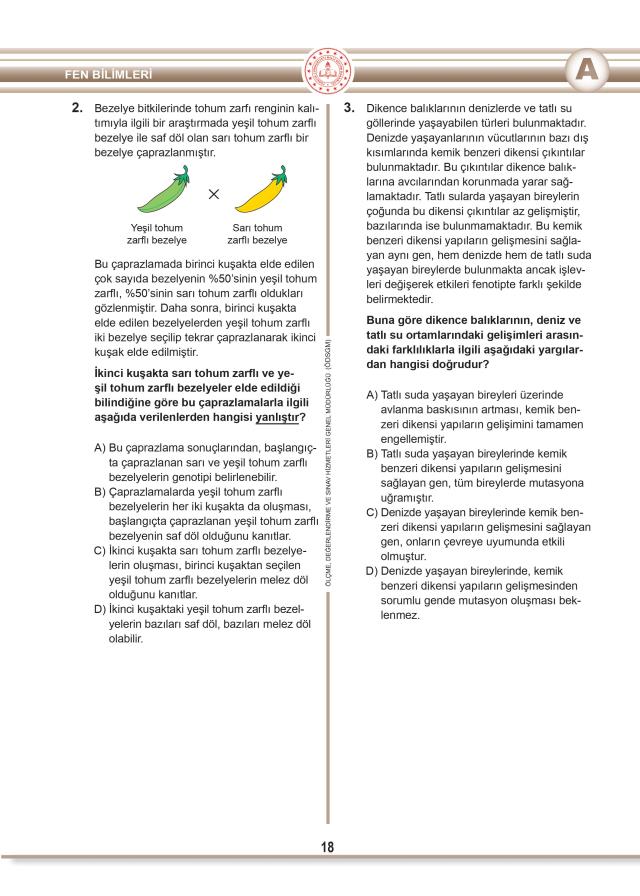LGS soruları yayınlandı mı? MEB 2022 LGS soruları ve cevap anahtarı! LGS soruları yayınlandı mı? MEB 2022 LGS soruları ve cevap anahtarı!