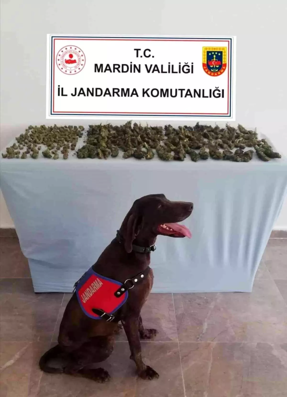 Mardin'de uyuşturucu satıcıları suçüstü yakalandı