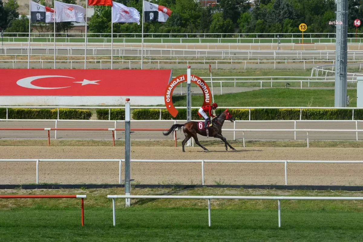 Nilüfer Belediye Başkanlığı Koşusu'nun Galibi Bestekar Oldu