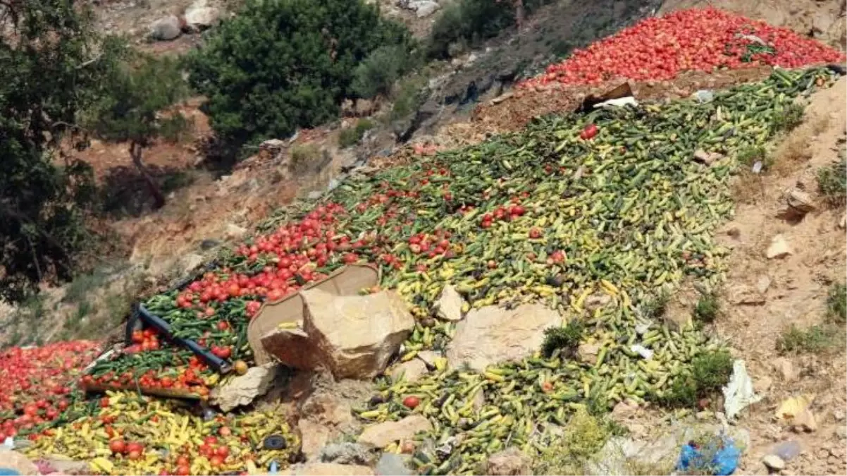Antalya'da çöpe dökülen domates ve salatalık görüntüleriyle ilgili soruşturma başlatıldı