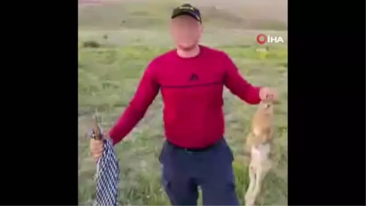 Vurdukları tavşanı köpeklere parçalattırıp sosyal medyada paylaştılar