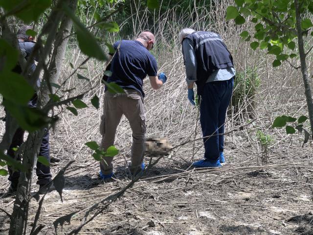 Adana'da bulunan kafatasının sırrı çözüldü
