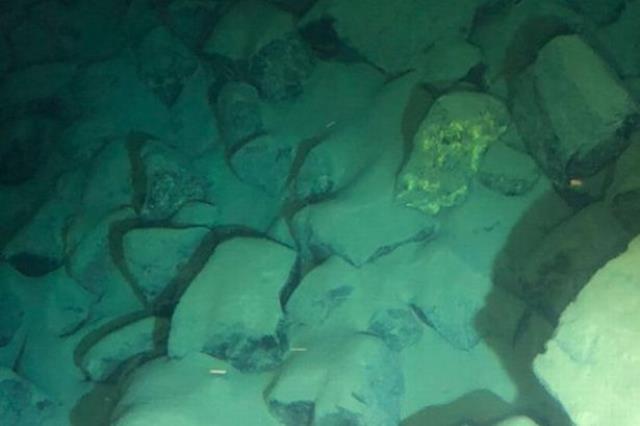 Dünyadaki en derin noktaya 12 saatte inen bilim insanı, ilginç yaratıkla karşılaştı: İsmi Cehennem Bombacısı