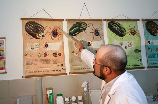 Keneyle ilgili bu bilgi tarihe karışıyor! İşte doğru bildiğimiz büyük yanlış