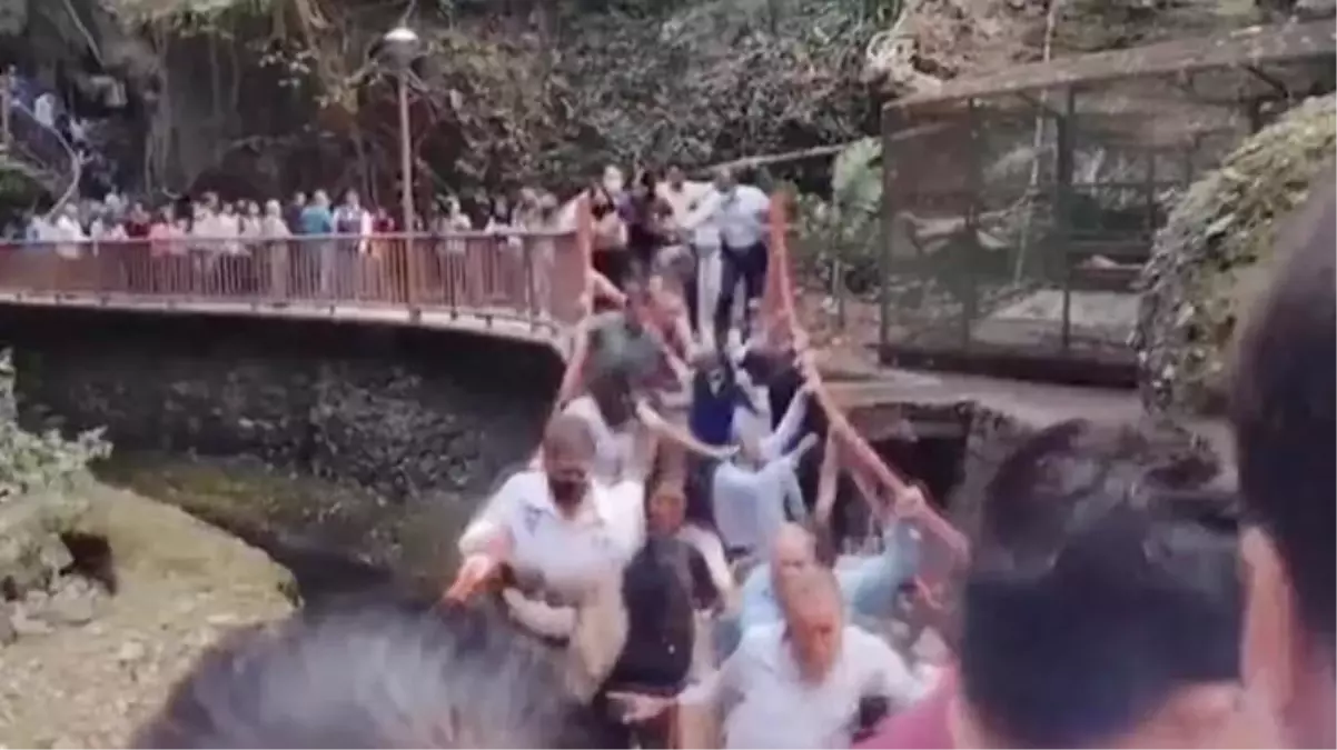 Meksika'da açılışı yapılan asma köprü koptu! Belediye başkanı dahil 25 kişi yaralandı