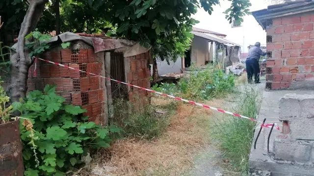 Yaprak toplamak için çıktığı asmadan düşerek hayatını kaybetti Yaprak toplamak için çıktığı asmadan düşerek hayatını kaybetti