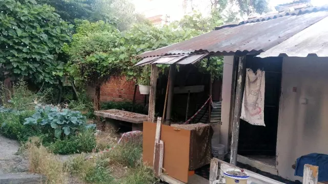 Yaprak toplamak için çıktığı asmadan düşerek hayatını kaybetti Yaprak toplamak için çıktığı asmadan düşerek hayatını kaybetti