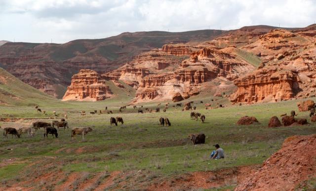 Doğuda saklı bir cennet! Kırmızı Periler Diyarı: Narman Doğuda saklı bir cennet! Kırmızı Periler Diyarı: Narman